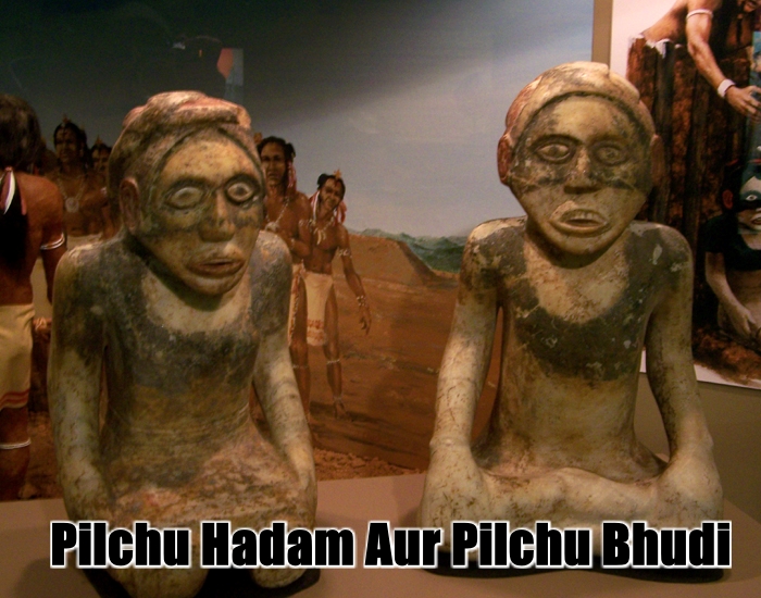 pilchu_hadam_aur_pilchu_budhi