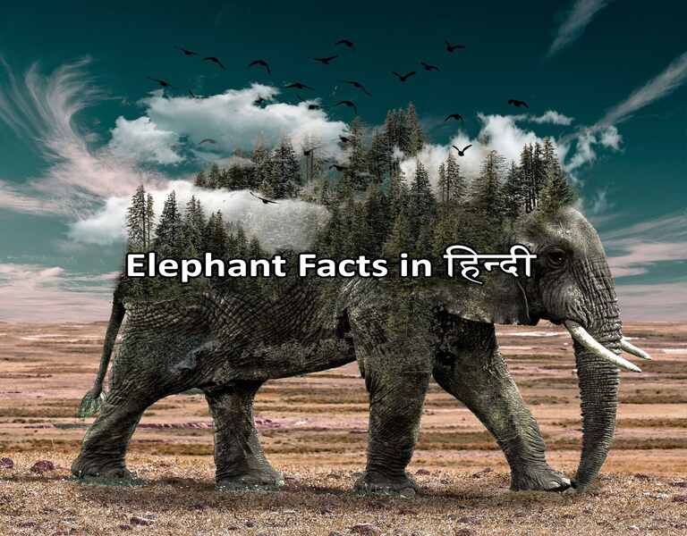 Elephant Facts in हिन्दी