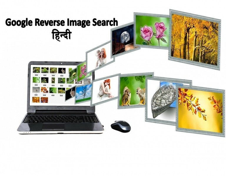 Google Reverse Image Search हिन्दी