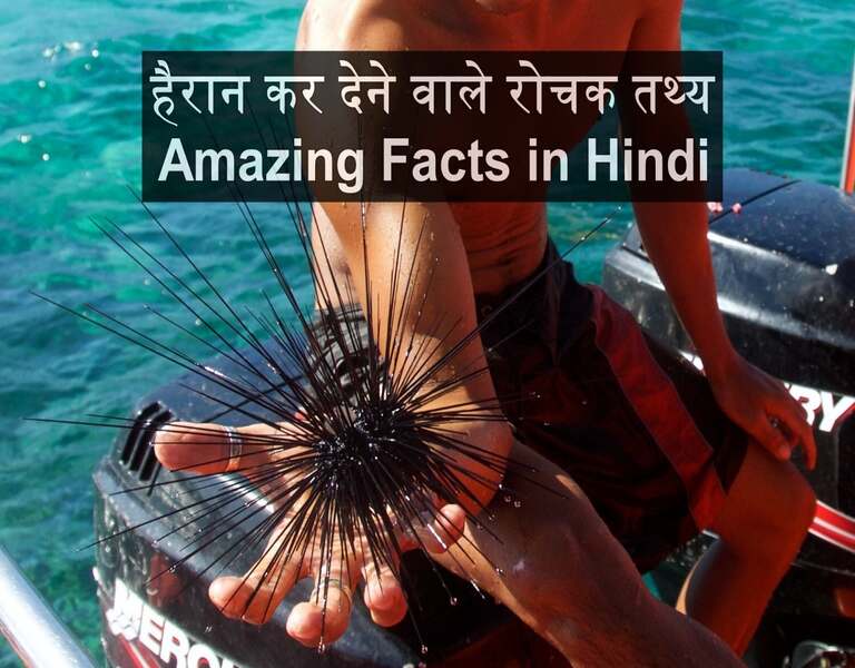 हैरान कर देने वाले रोचक तथ्य Amazing Facts in Hindi