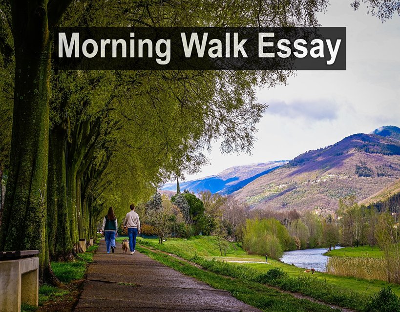 Morning Walk Essay - Morning Walk Essay in English