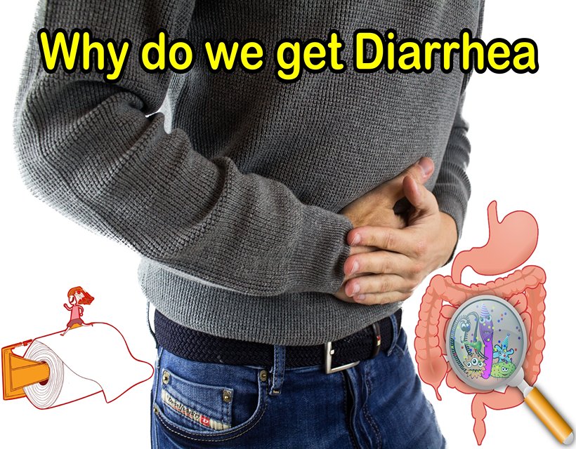 Why do we get Diarrhea