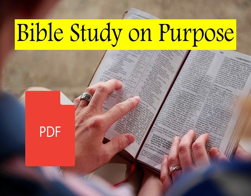 Bible Study on Purpose