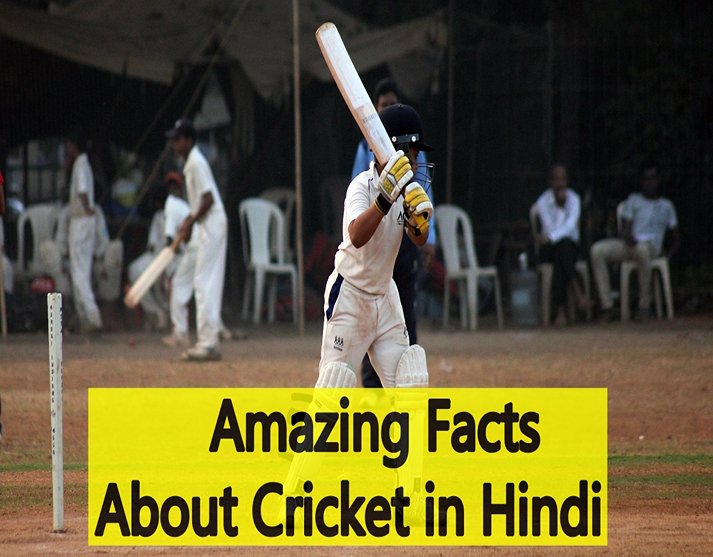 Amazing Facts About Cricket in Hindi जानिए क्रिकेट से जुड़े तथ्य