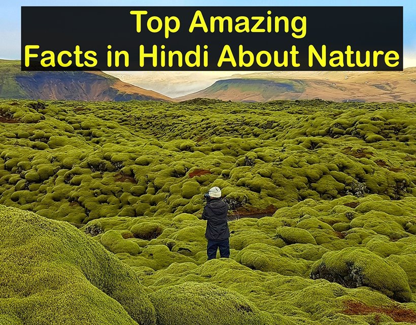 Top Amazing Facts in Hindi About Nature