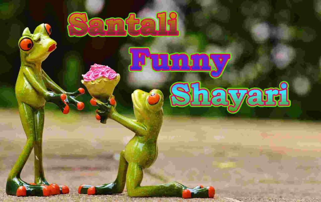Santali Funny Shayari