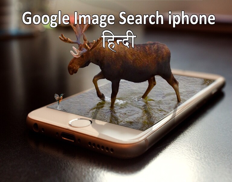 Google Image Search iphone हिन्दी