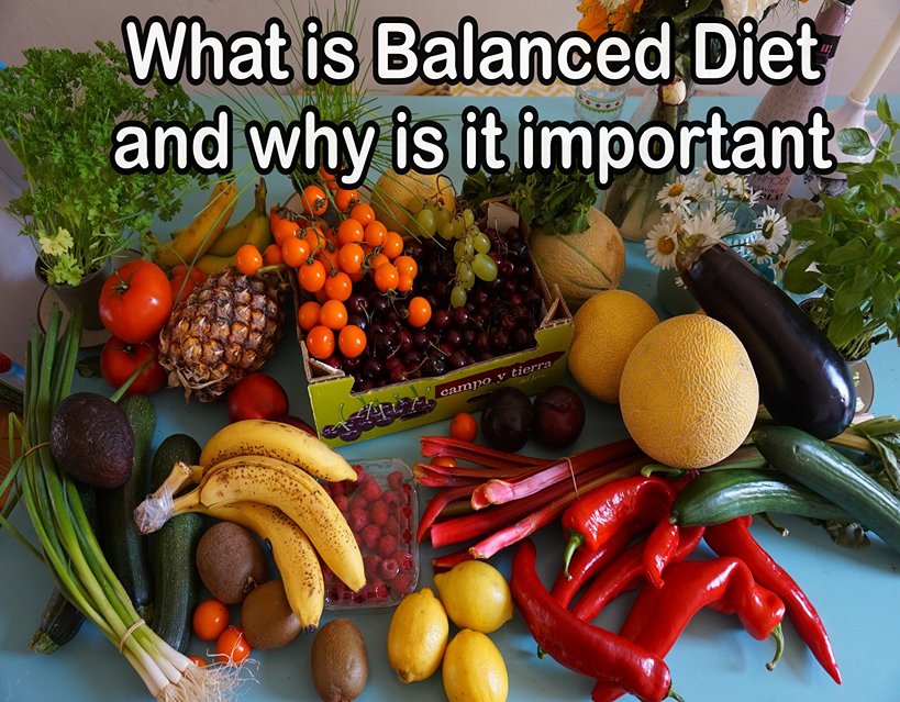 What is Balanced Diet and why is it important