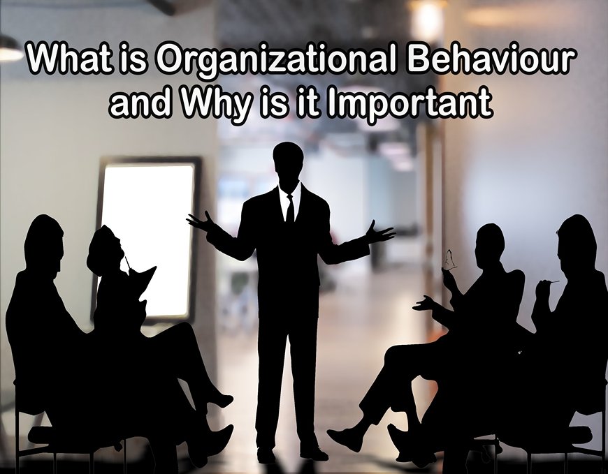 What is Organizational Behaviour and Why is it Important
