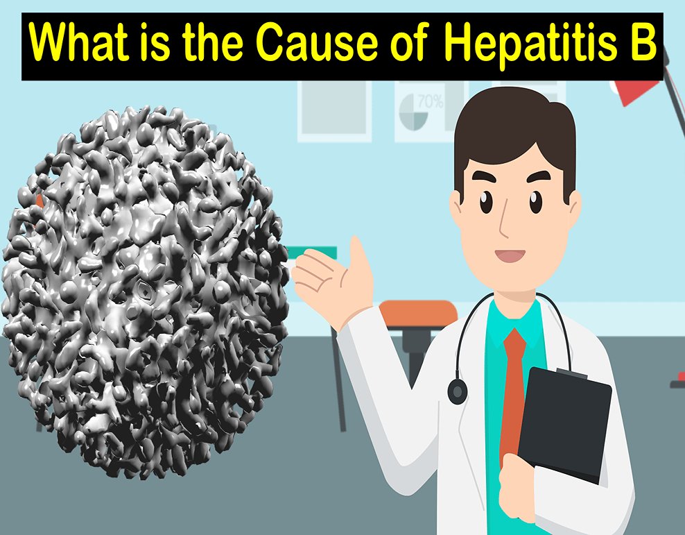 What is the Cause of Hepatitis B