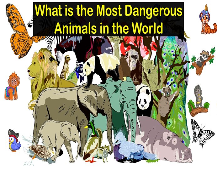 What is the Most Dangerous Animals in the World
