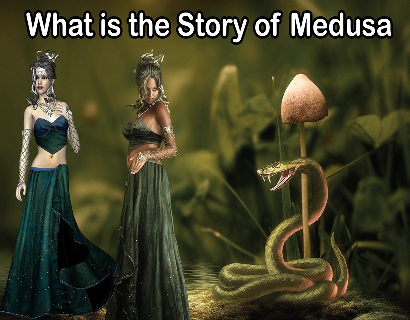 What is the Story of Medusa - Medusa Story Summary