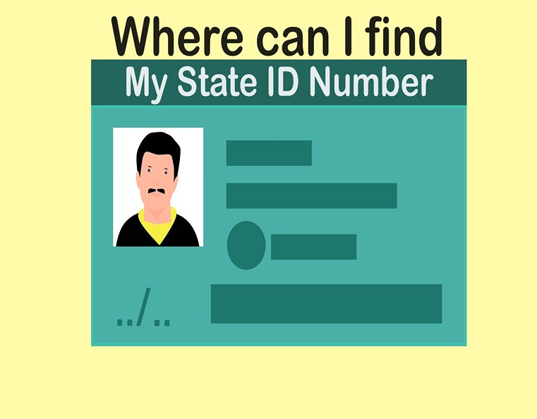 Where can I find my State ID Number