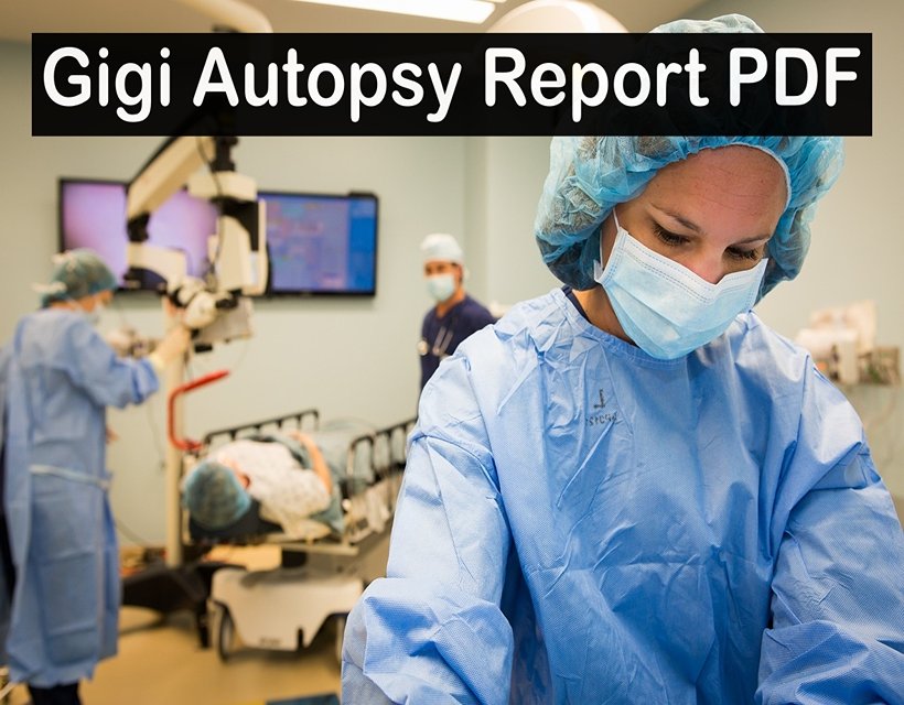 Gigi Autopsy Report PDF 2023