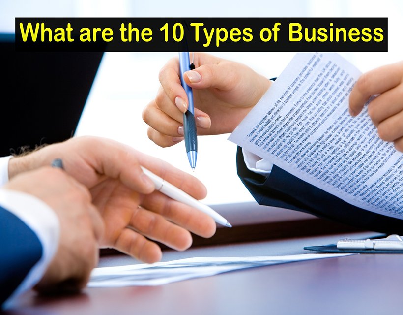 What are the 10 Types of Business