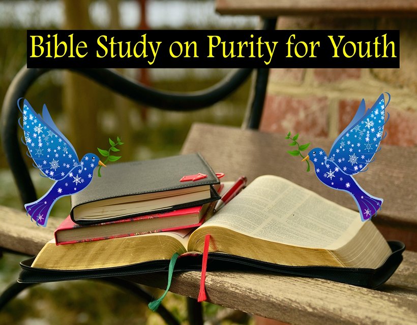 Bible Study on Purity for Youth