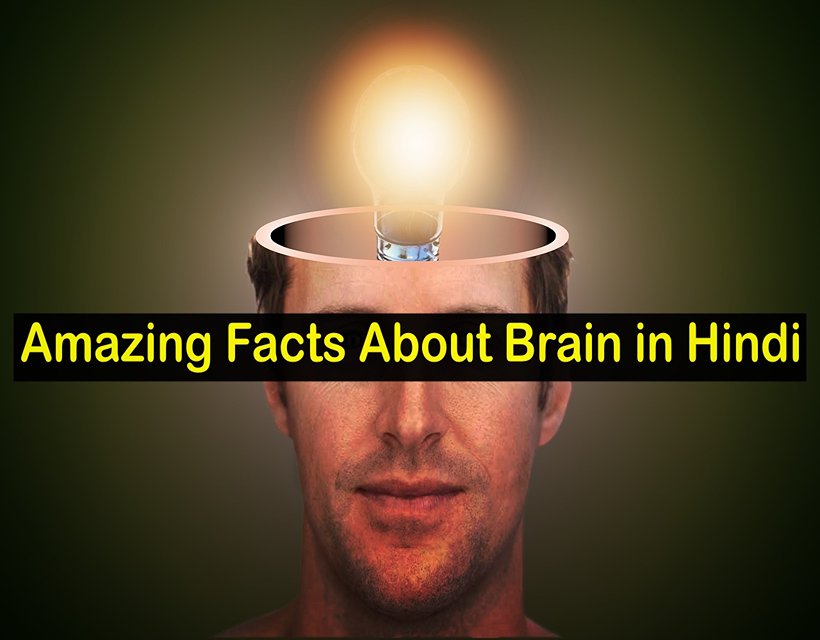 Amazing Facts About Brain in Hindi - मस्तिष्क के बारे में